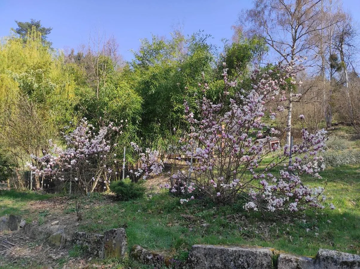 L'Oree Des Bois Courpiere 0*,  France