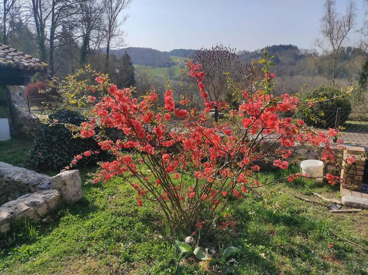L'Oree Des Bois Courpiere