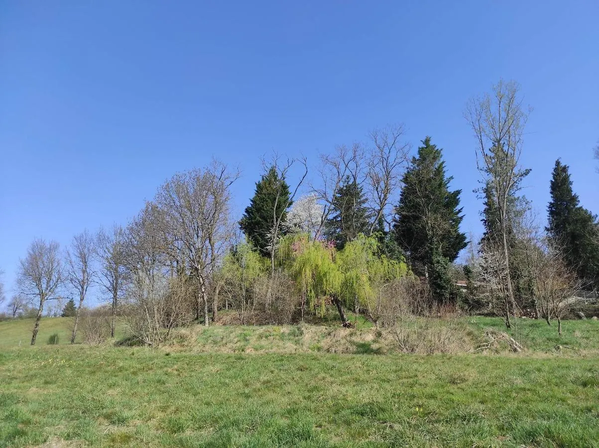 Appartement L'Oree Des Bois Courpiere