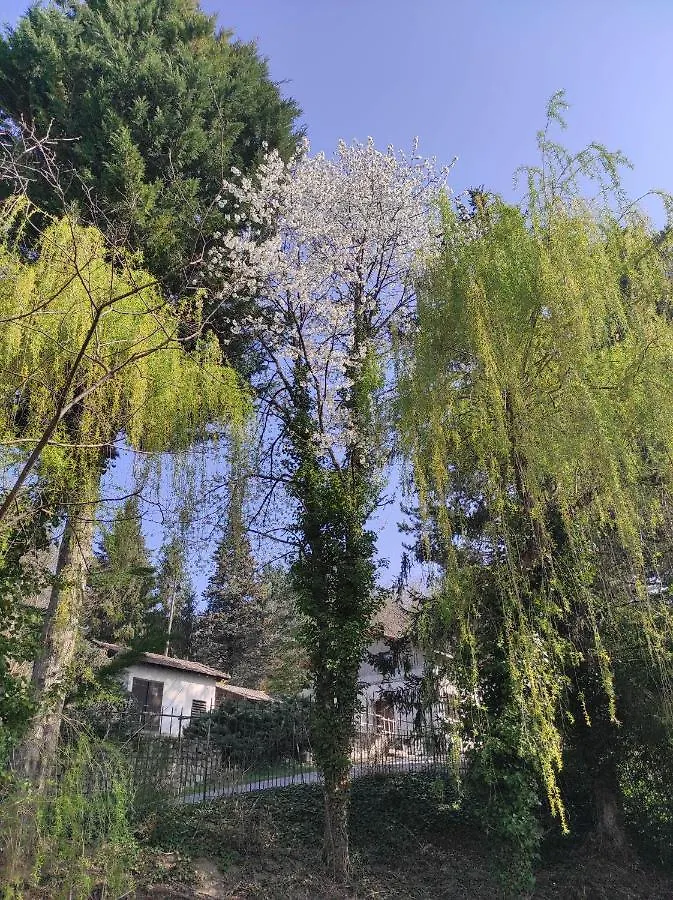 L'Oree Des Bois Courpiere Appartement